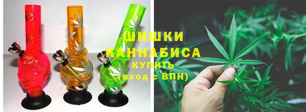 твердый Новодвинск