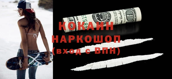 стафф Новозыбков