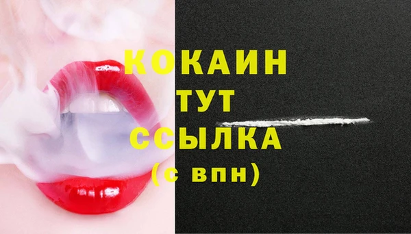 твердый Новодвинск