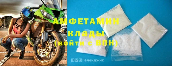 ГАЛЛЮЦИНОГЕННЫЕ ГРИБЫ Горняк