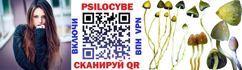 Галлюциногенные грибы Psilocybe  omg как зайти  Лесозаводск 