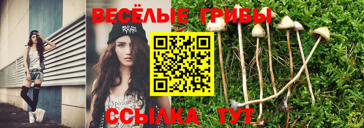 Галлюциногенные грибы GOLDEN TEACHER Лесозаводск